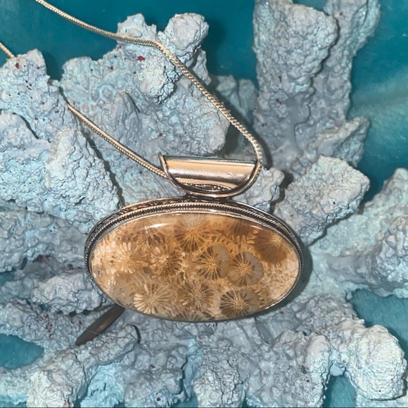 Pendant Petrified Fossil Palm Root Cabochon Gold Vermeil  Indonesian sea fossil statement exotic pendant